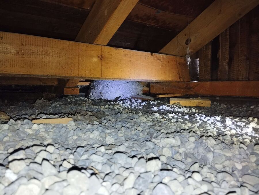 enlever un nid d abeille