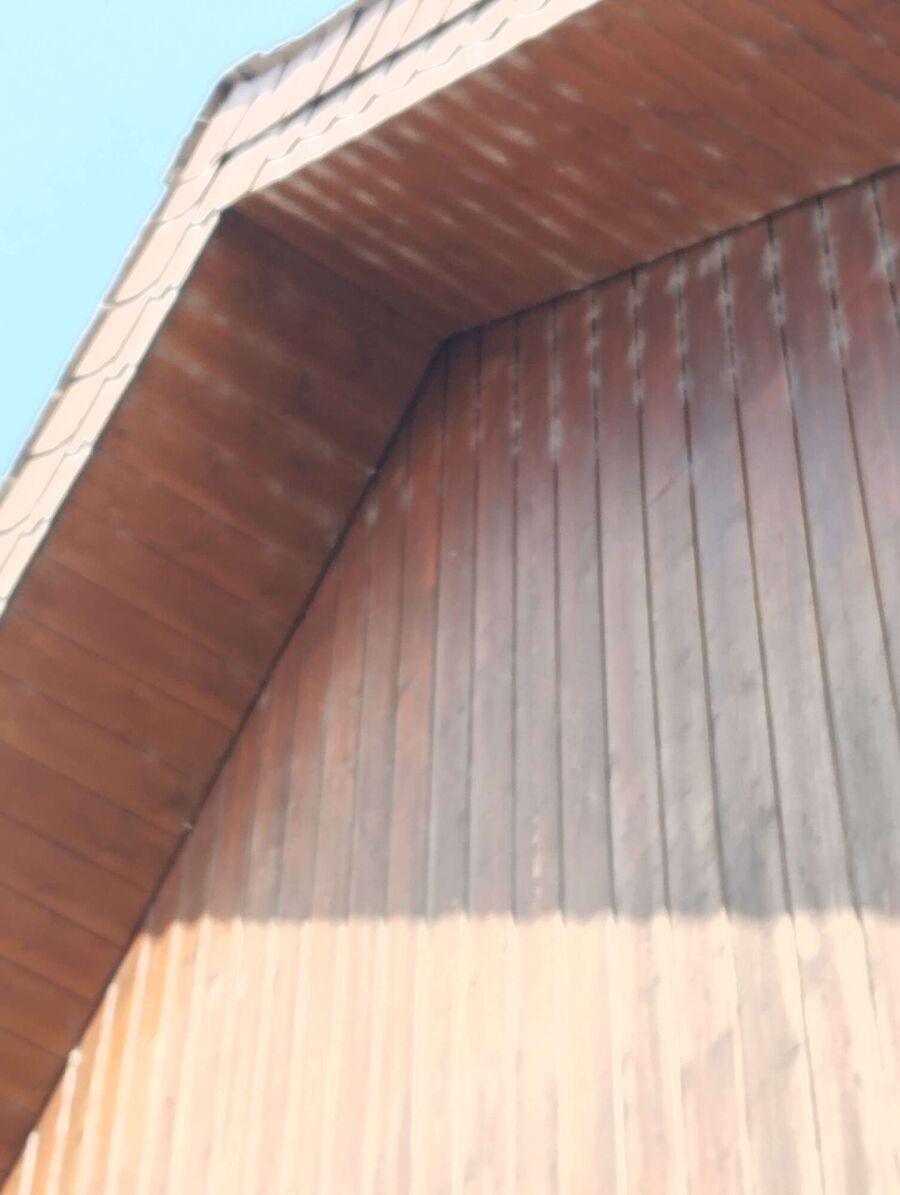 ruche abeille maison que faire