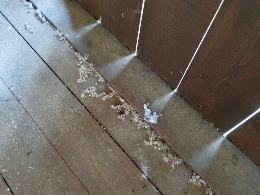 enlever un nid d abeille