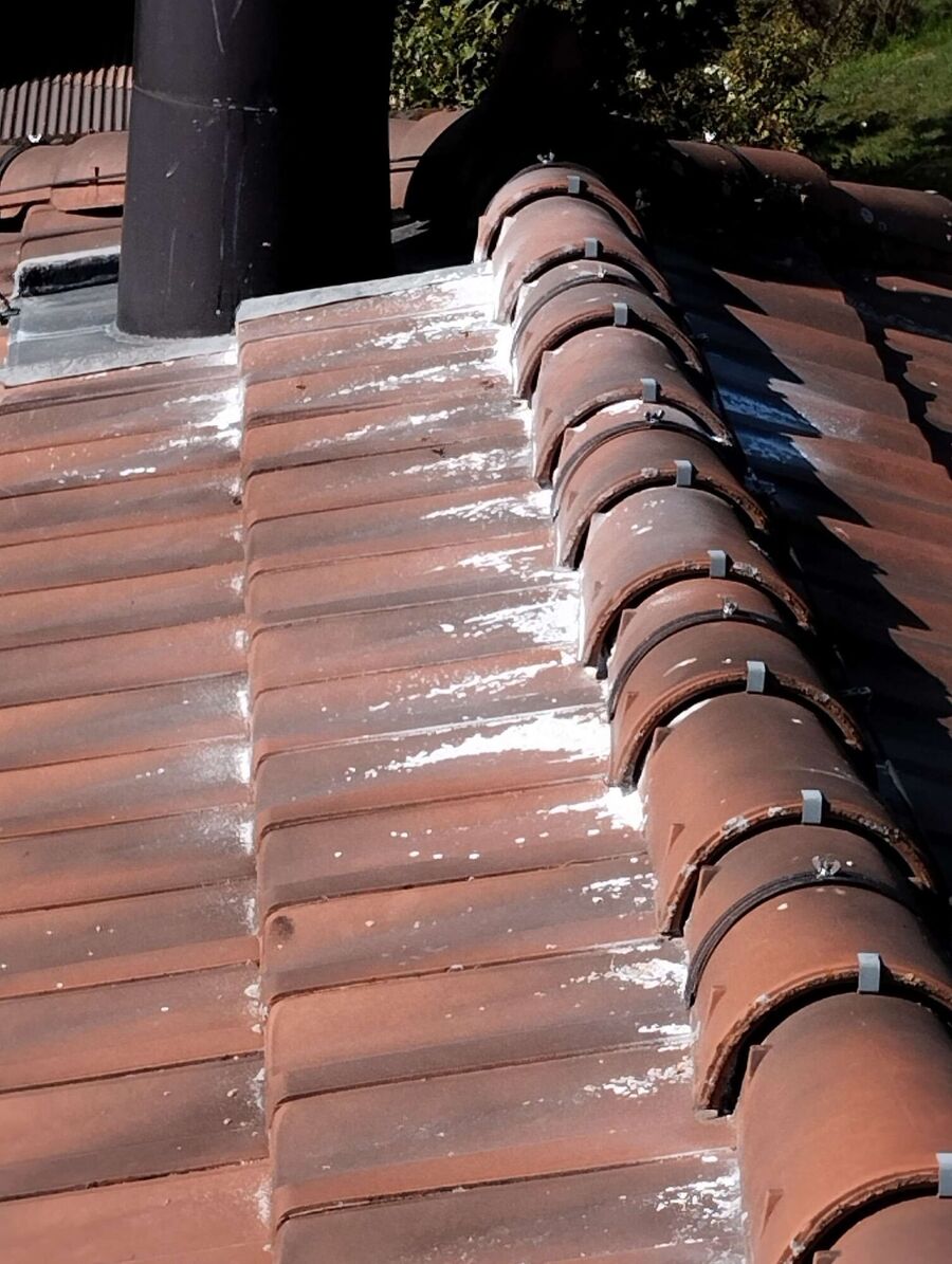 nid d abeille que faire