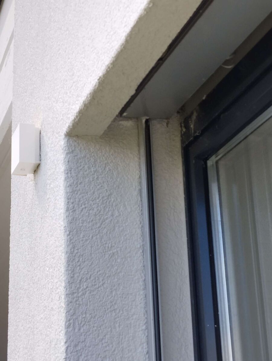 ruche abeille maison que faire