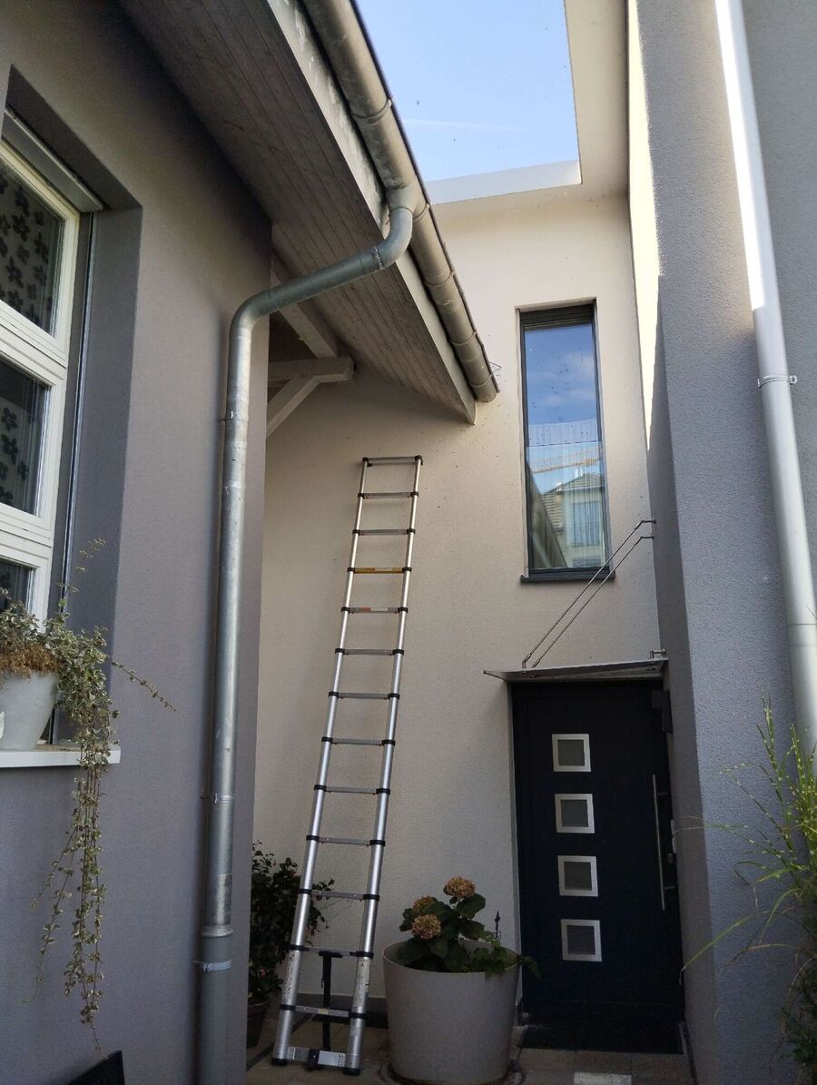 ruche abeille maison que faire