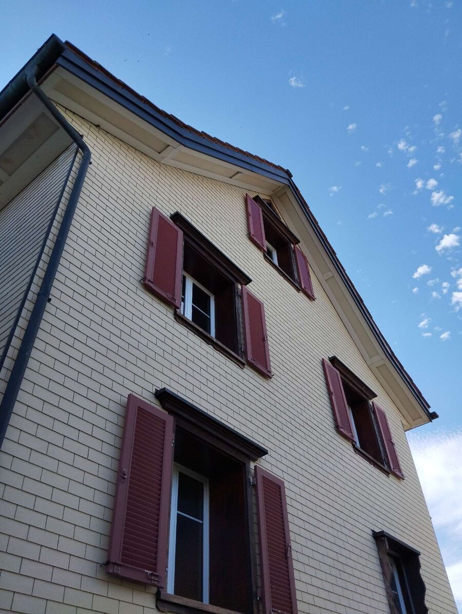 essaim d abeille enlevement