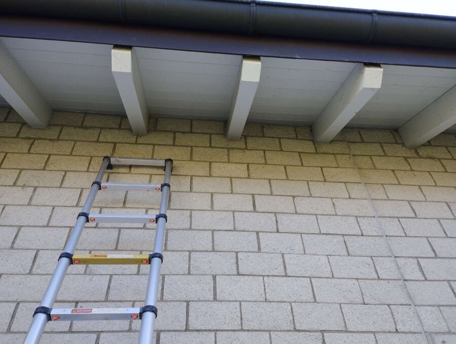 ruche abeille maison que faire