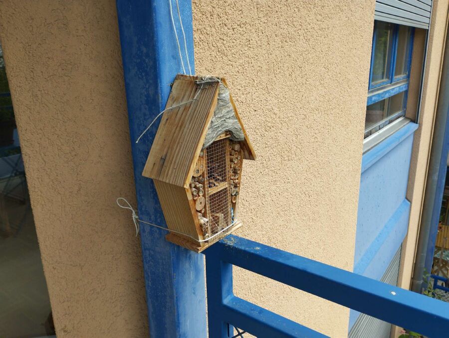 enlever un nid d abeille