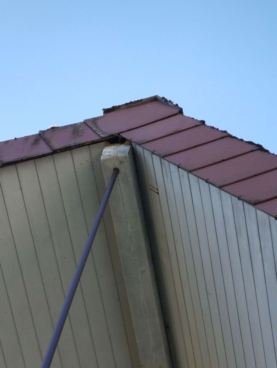 nid d abeille que faire