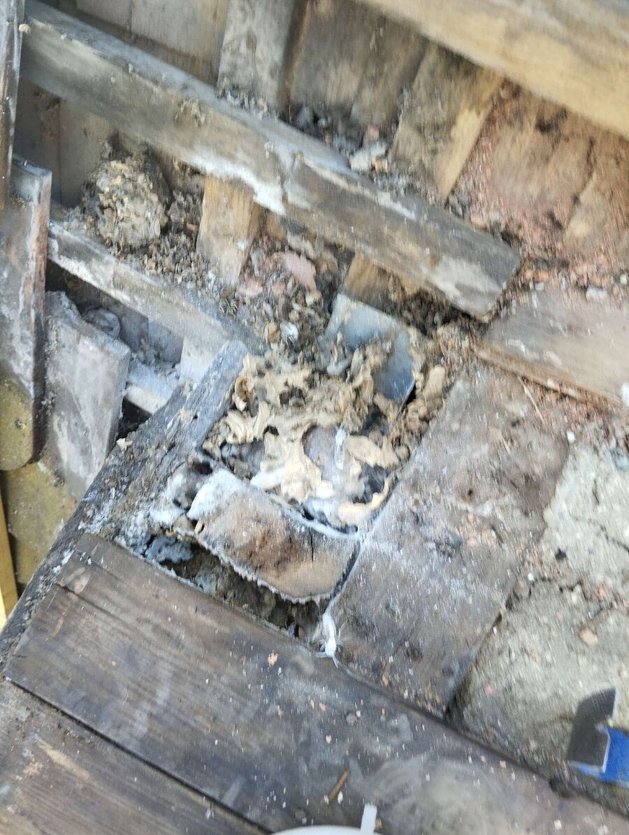 nid d abeille que faire