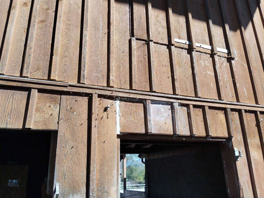 ruche abeille maison que faire