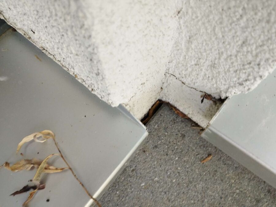 enlever un nid d abeille