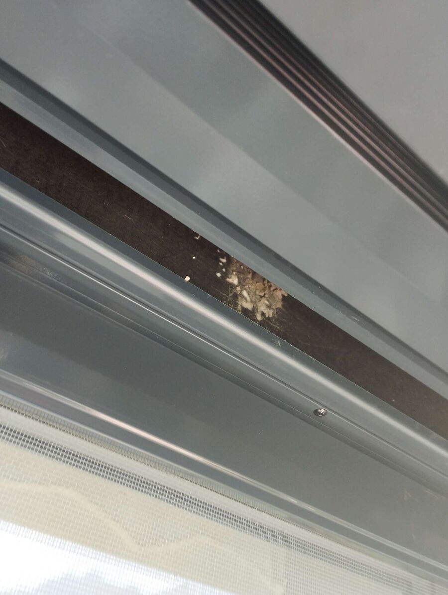 ruche abeille maison que faire