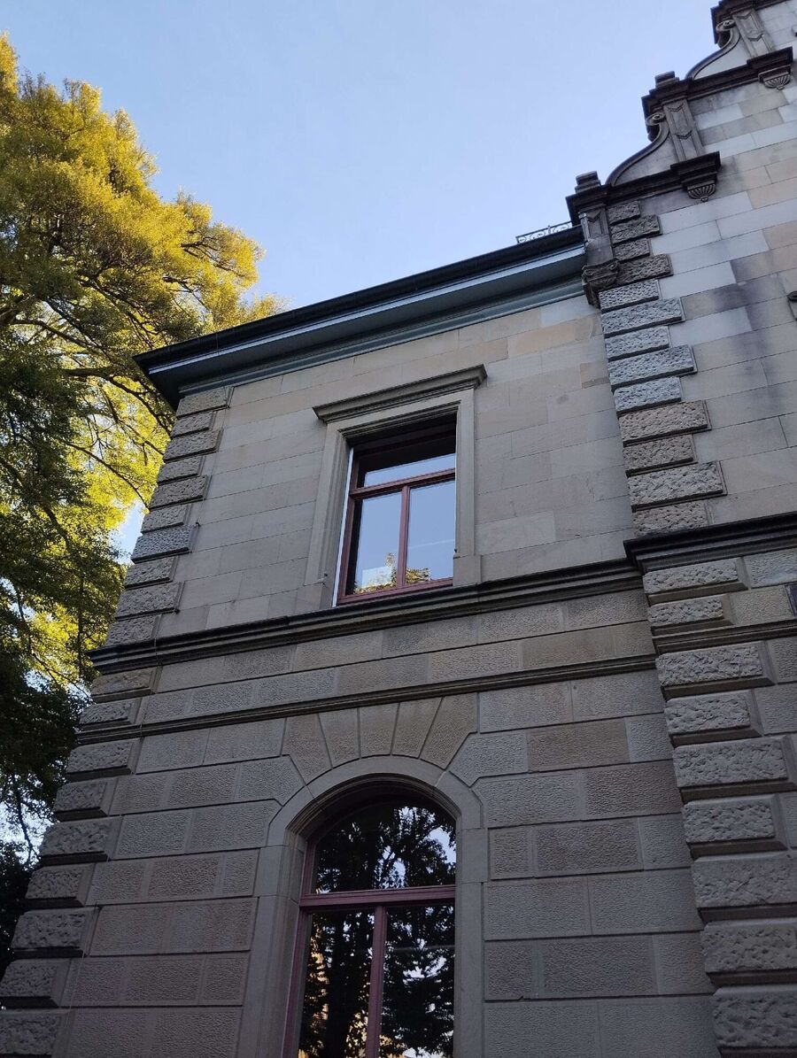 ruche abeille maison que faire