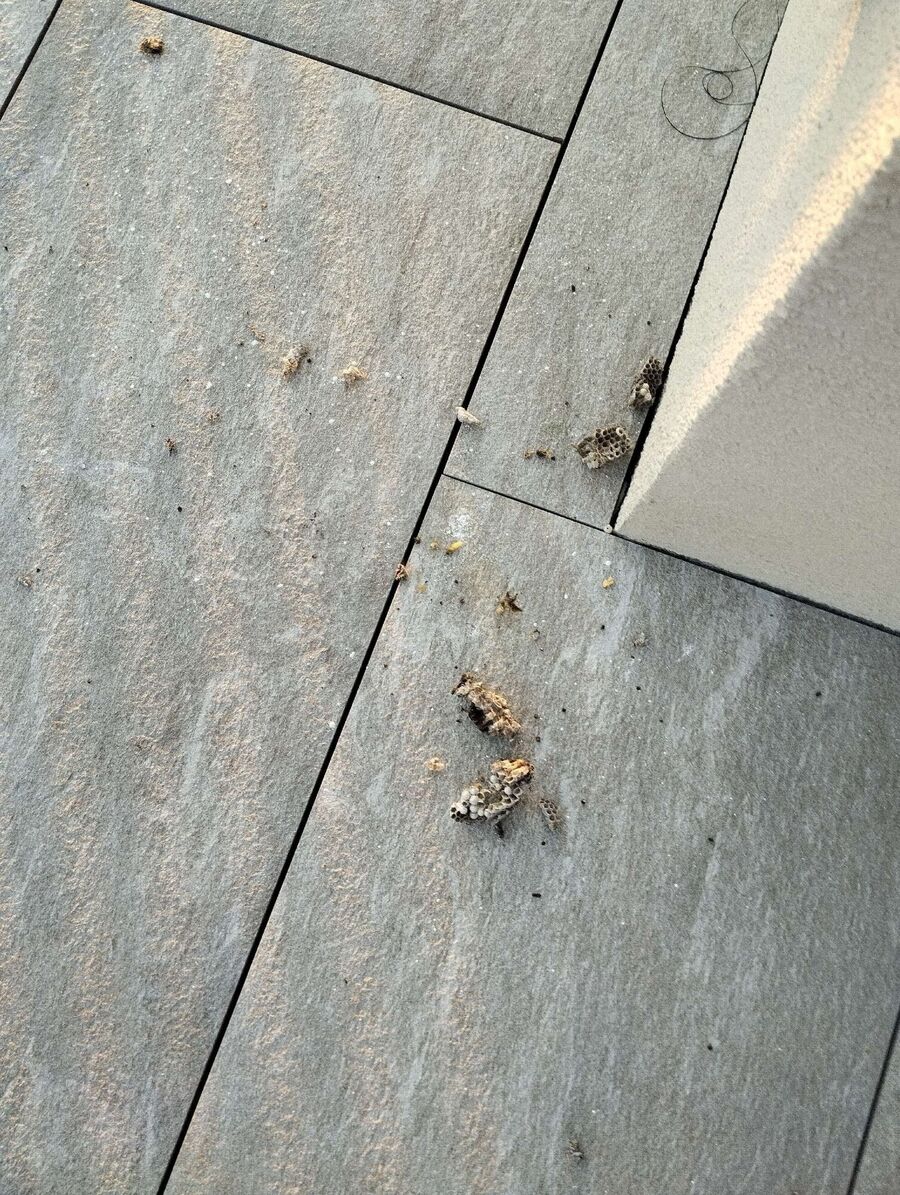 enlever un nid d abeille