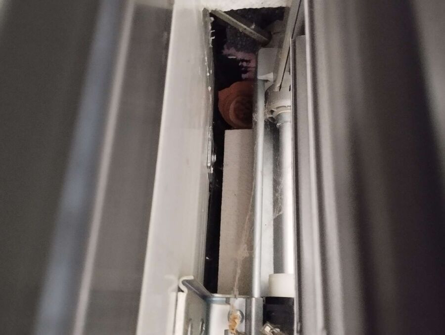 nid d abeille que faire