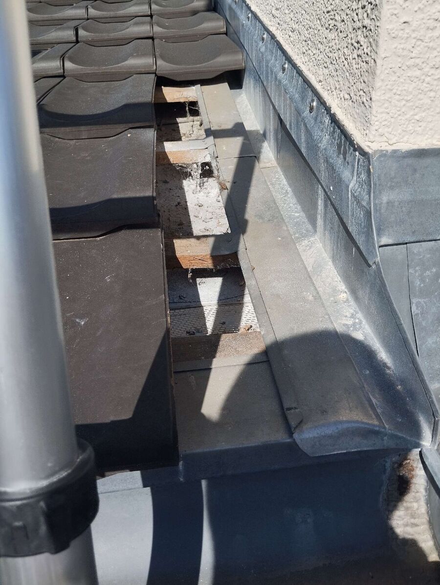 essaim d abeille enlevement