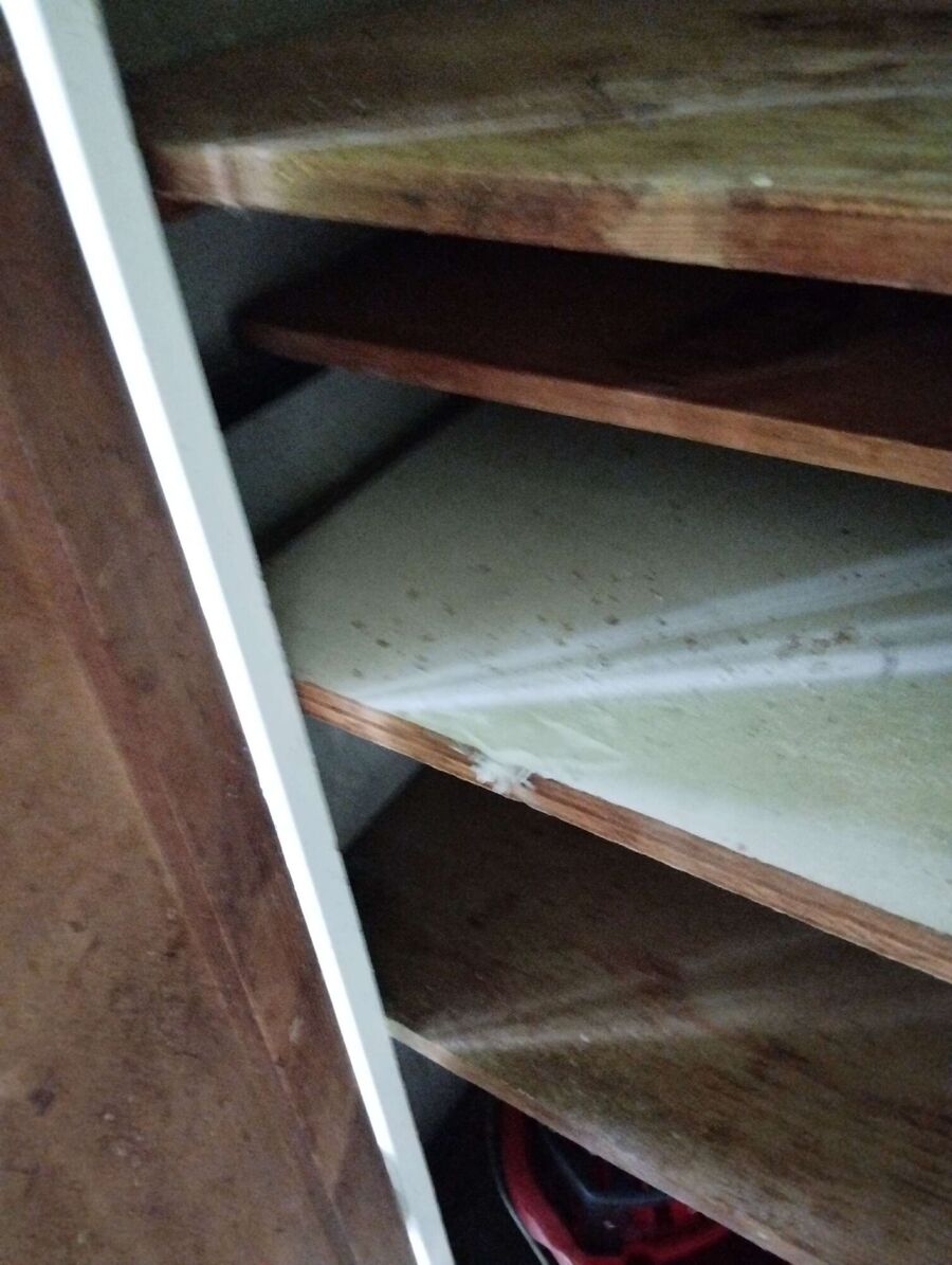 ruche abeille maison que faire