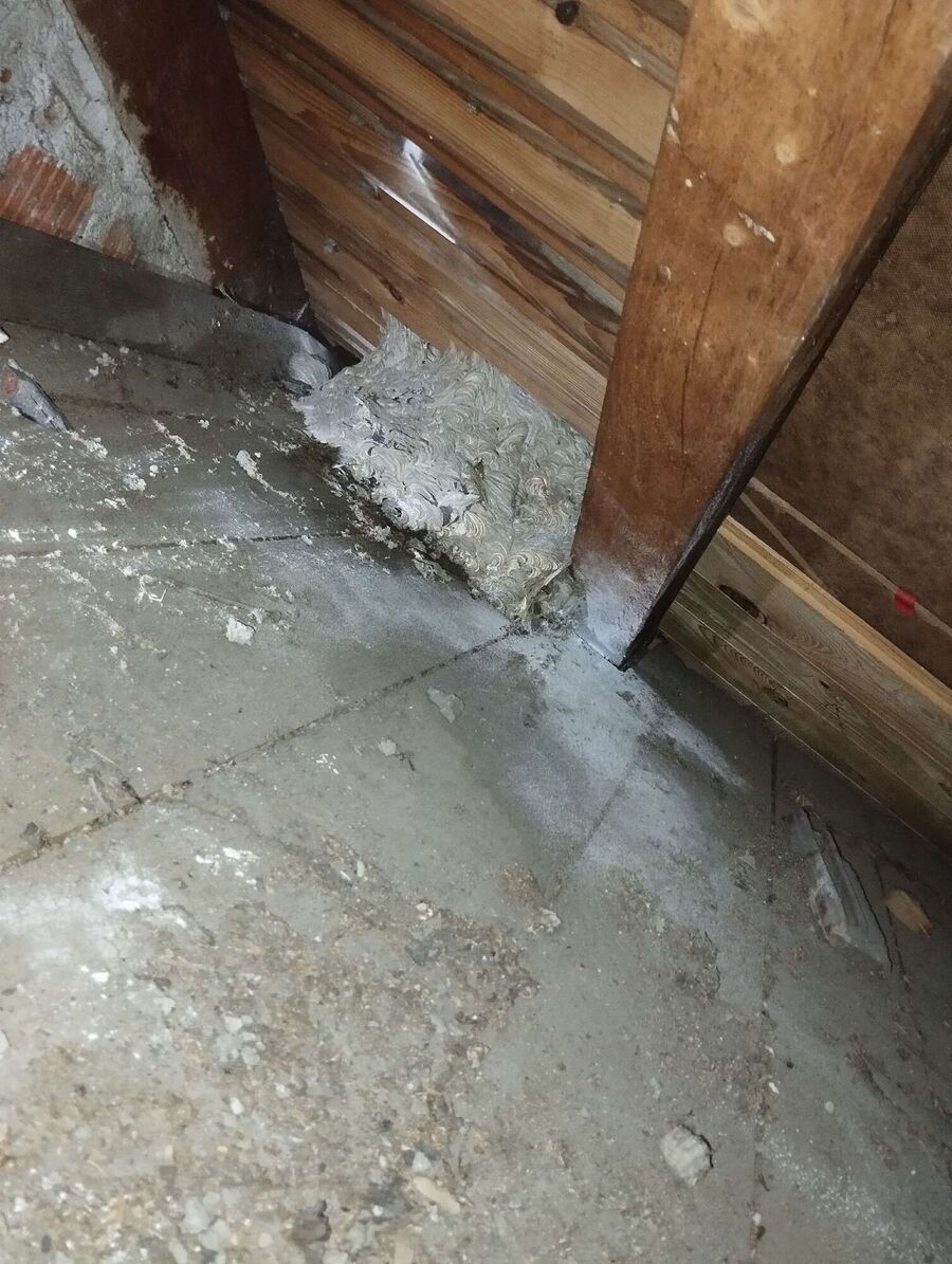 nid d abeille que faire