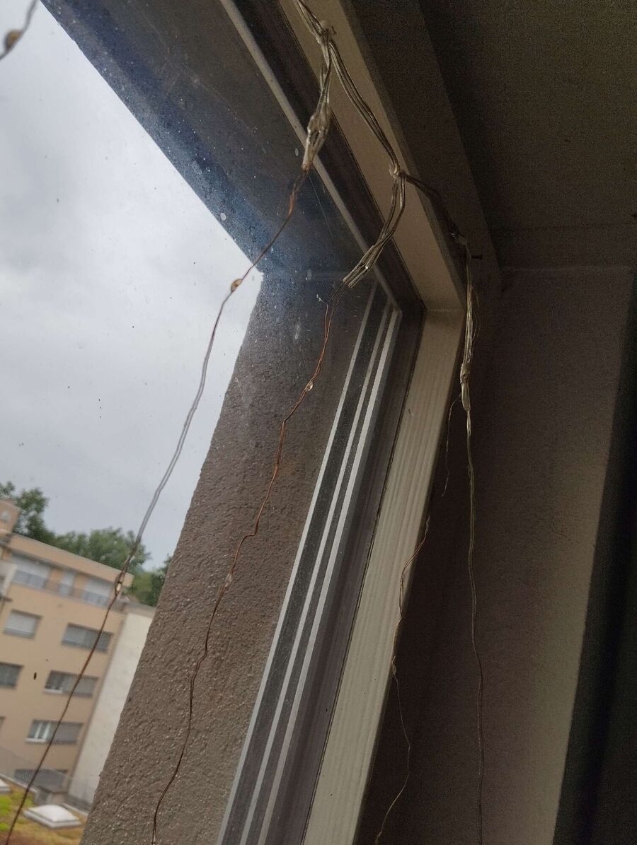 essaim d abeille enlevement