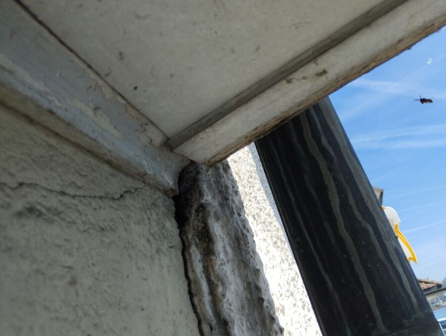 ruche abeille maison que faire