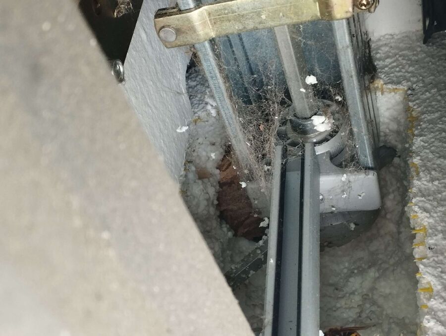 nid d abeille que faire