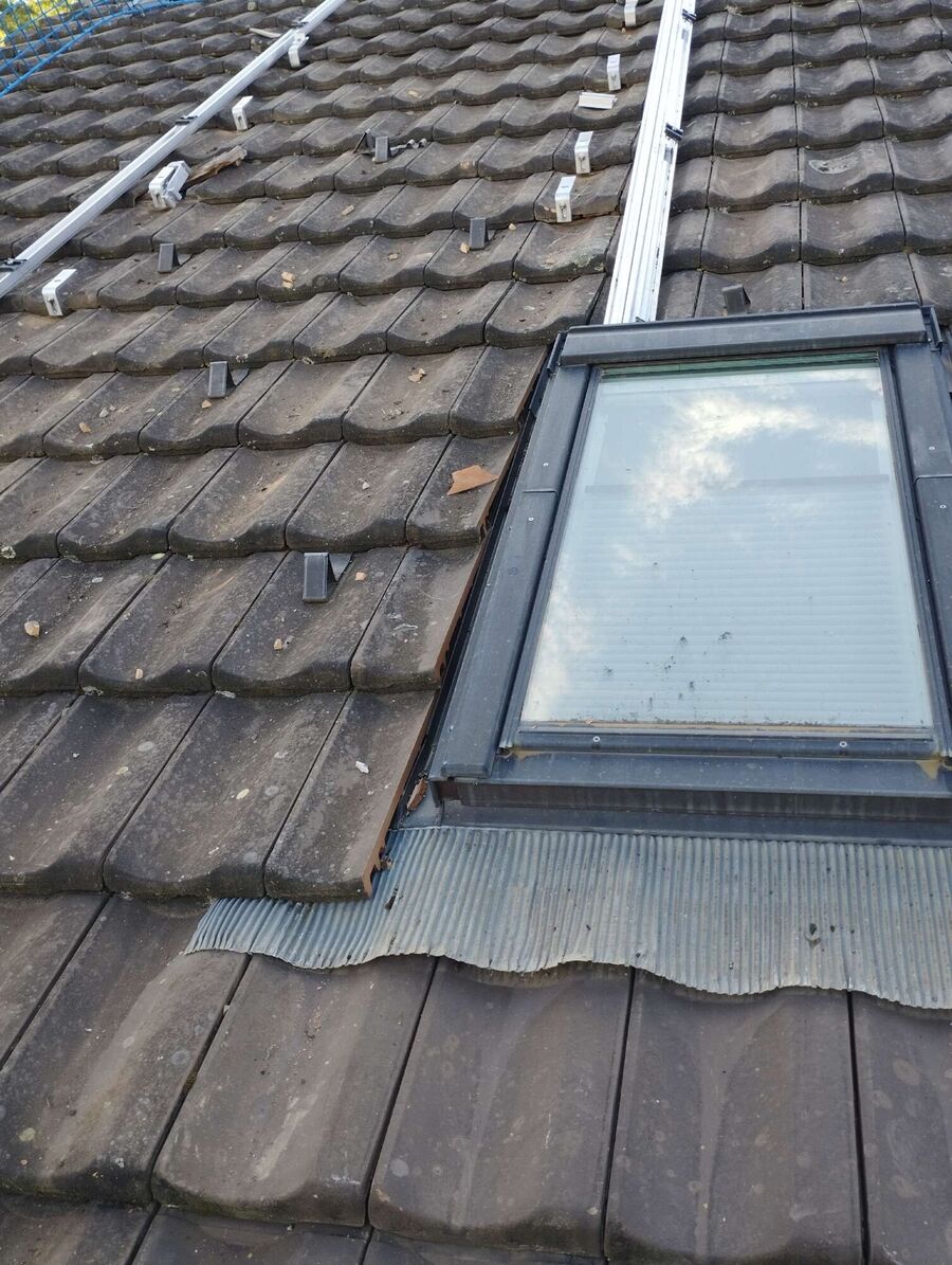 essaim d abeille enlevement