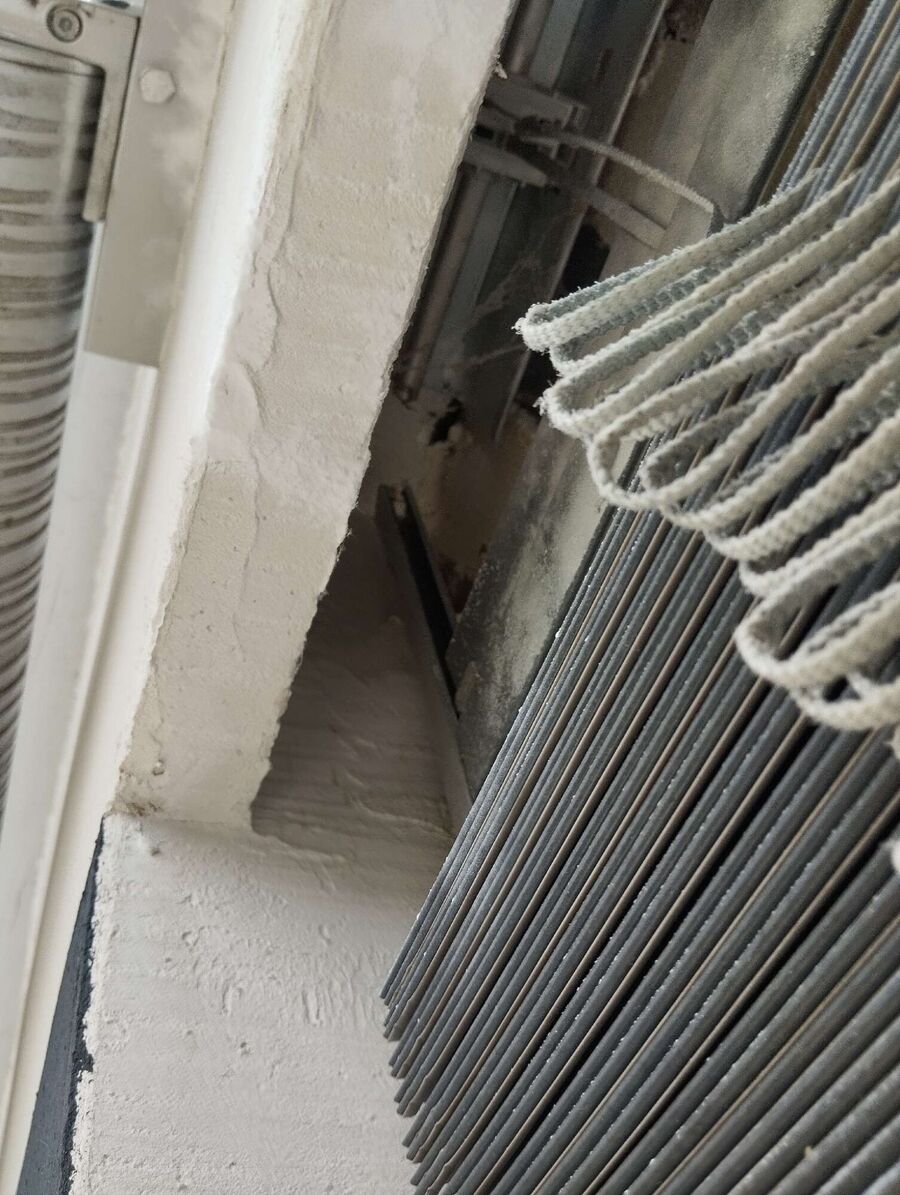 ruche abeille maison que faire