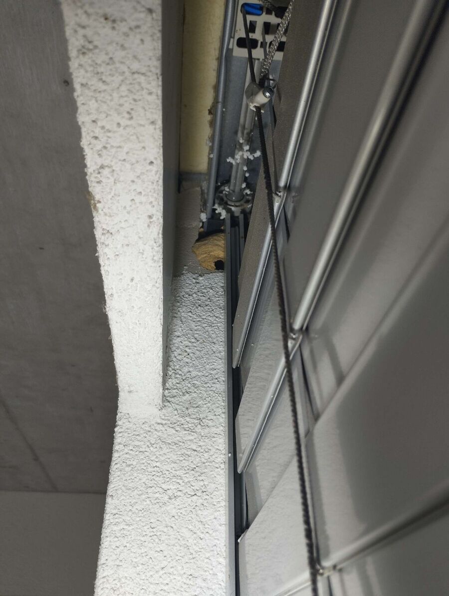 essaim d abeille enlevement