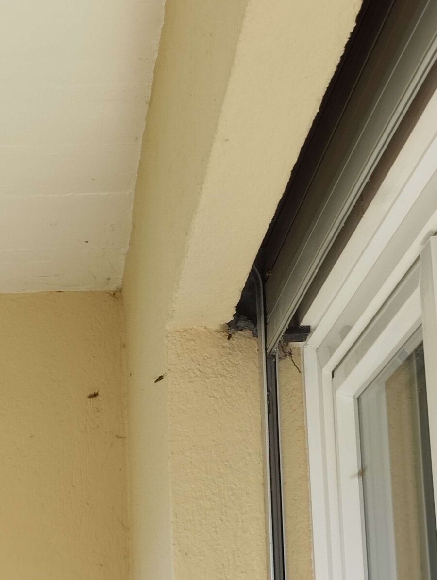 enlever un nid d abeille