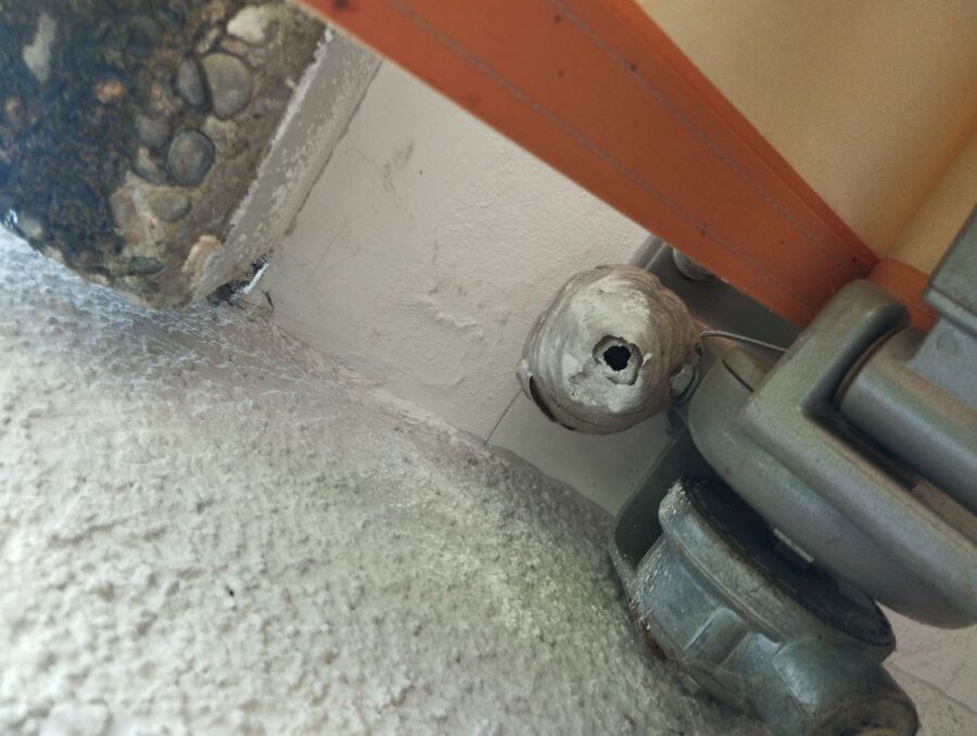 enlever un nid d abeille