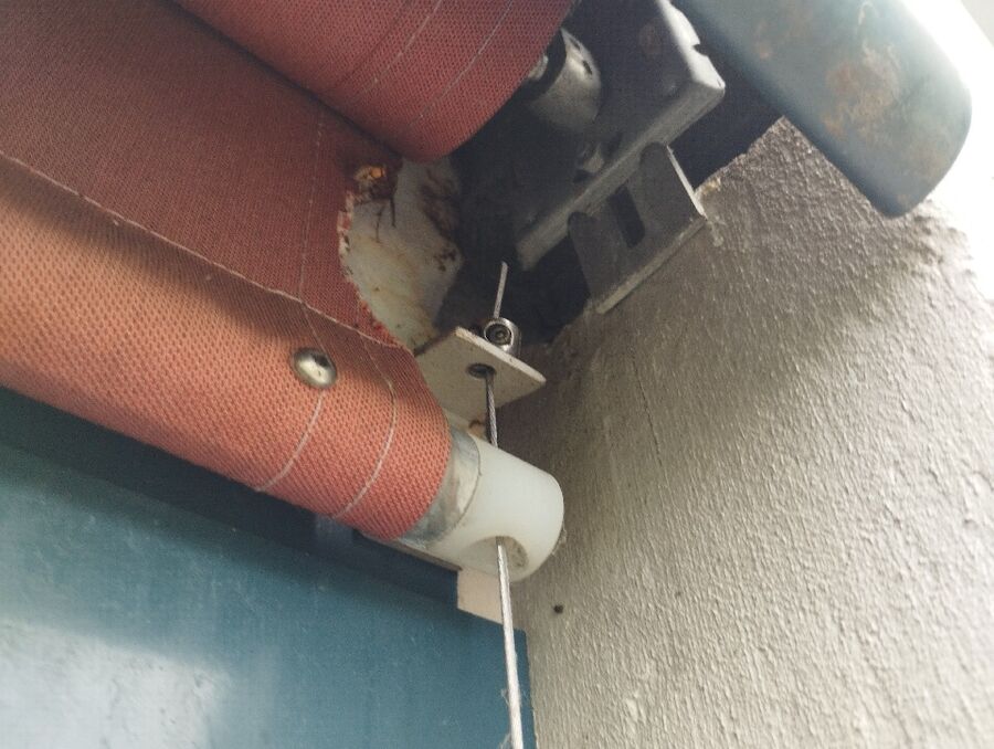 ruche abeille maison que faire