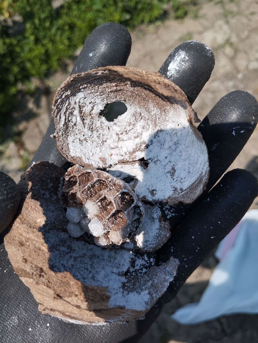 nid d abeille que faire