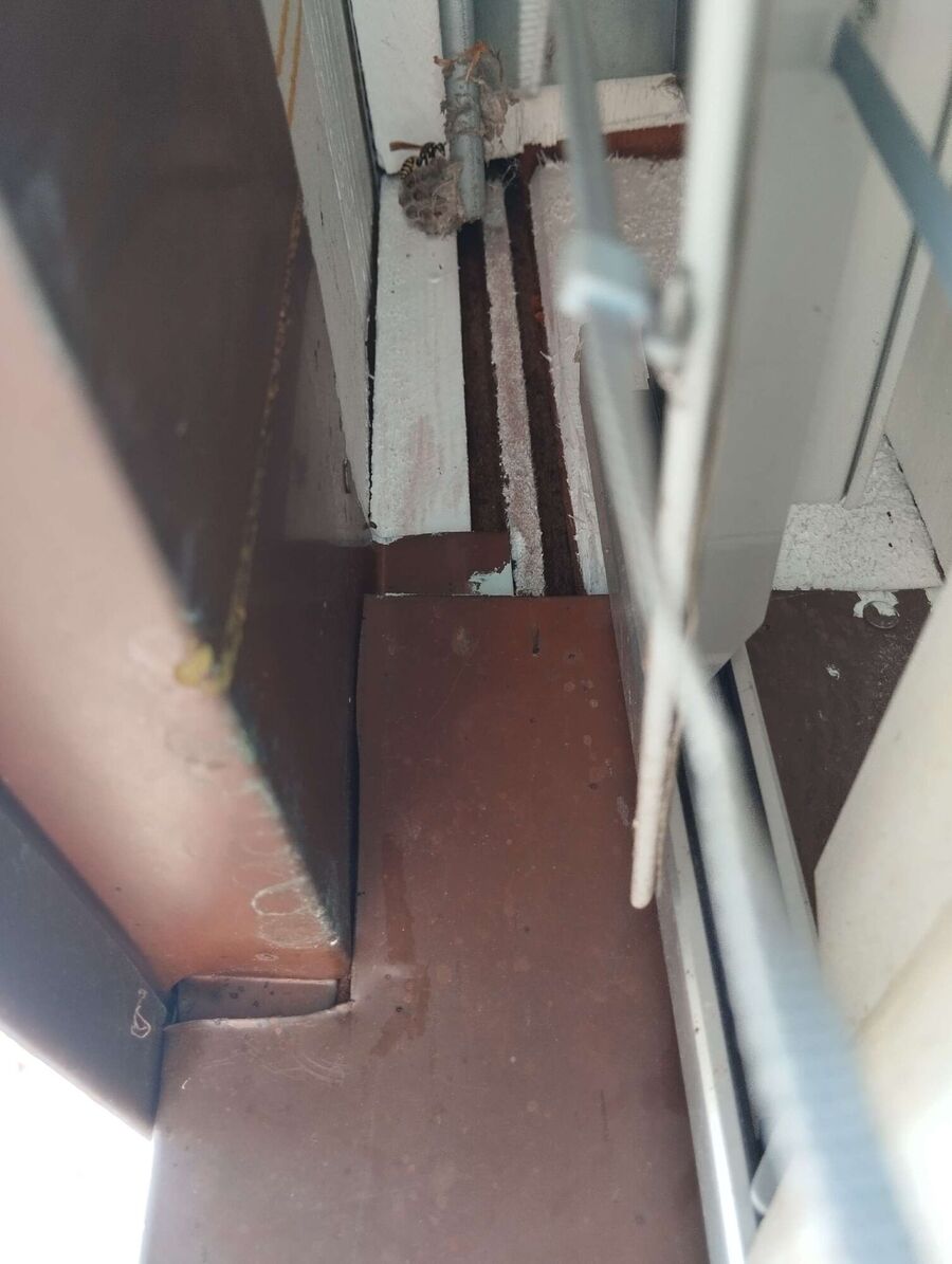 ruche abeille maison que faire