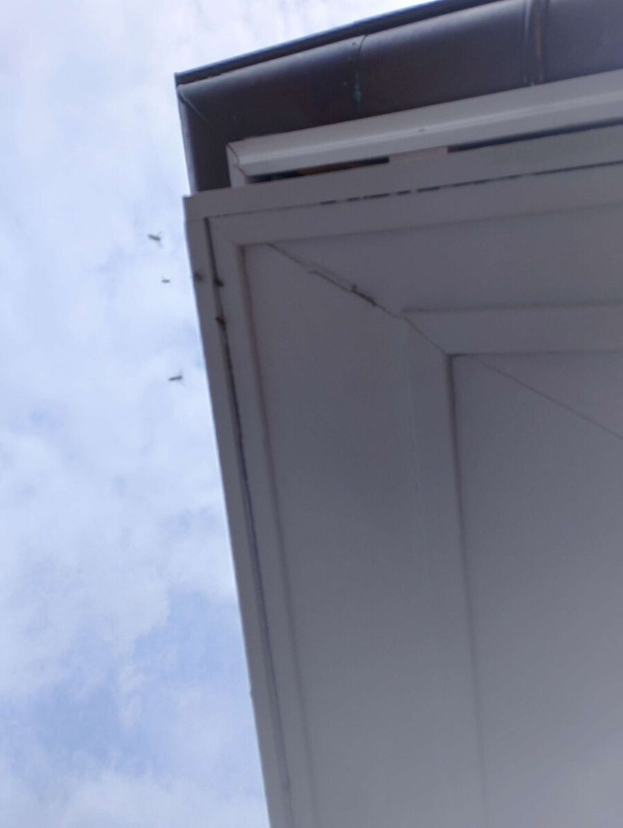 nid d abeille que faire