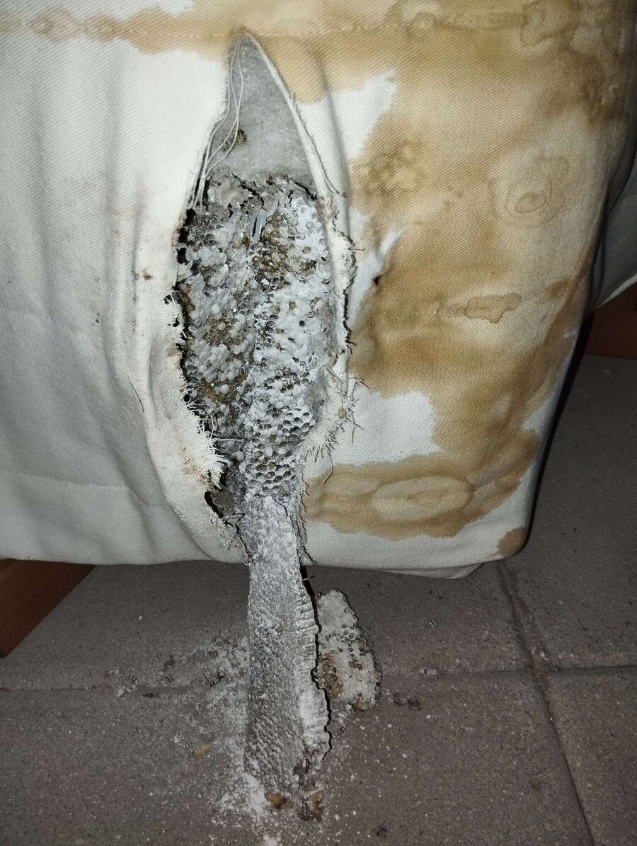 enlever un nid d abeille