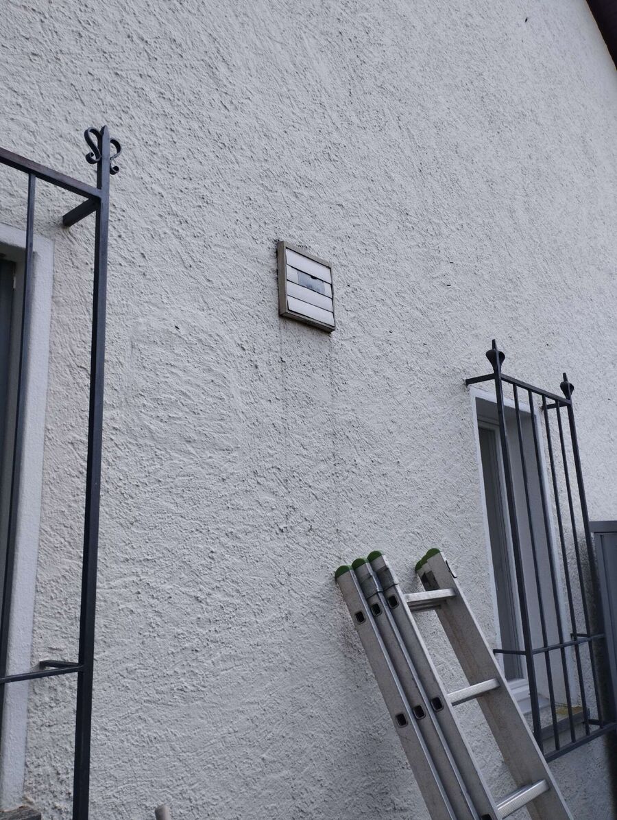 essaim d abeille enlevement