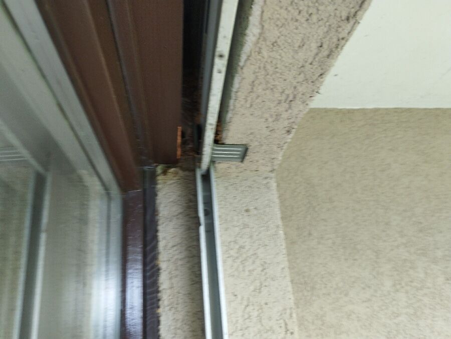 ruche abeille maison que faire