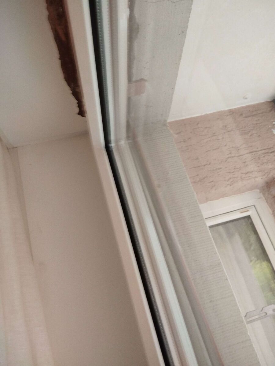 ruche abeille maison que faire