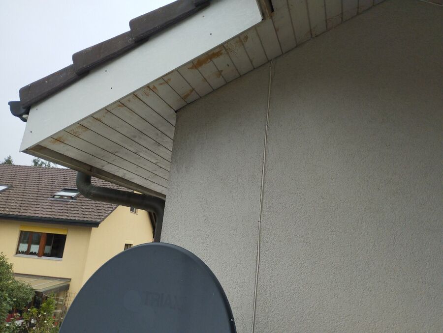 ruche abeille maison que faire