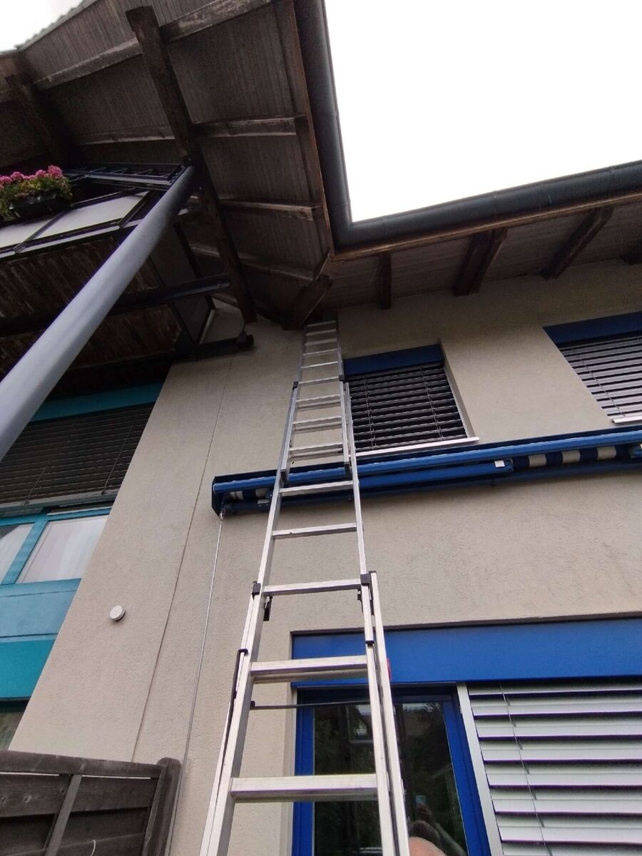 enlever un nid d abeille