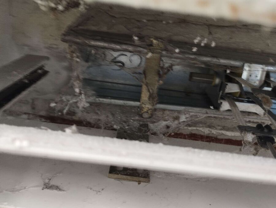 essaim d abeille enlevement