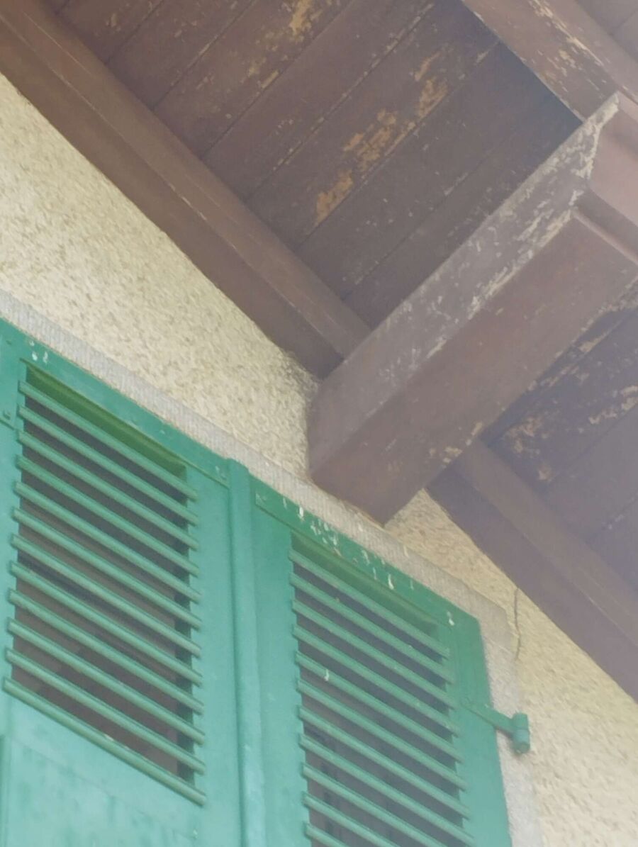 ruche abeille maison que faire