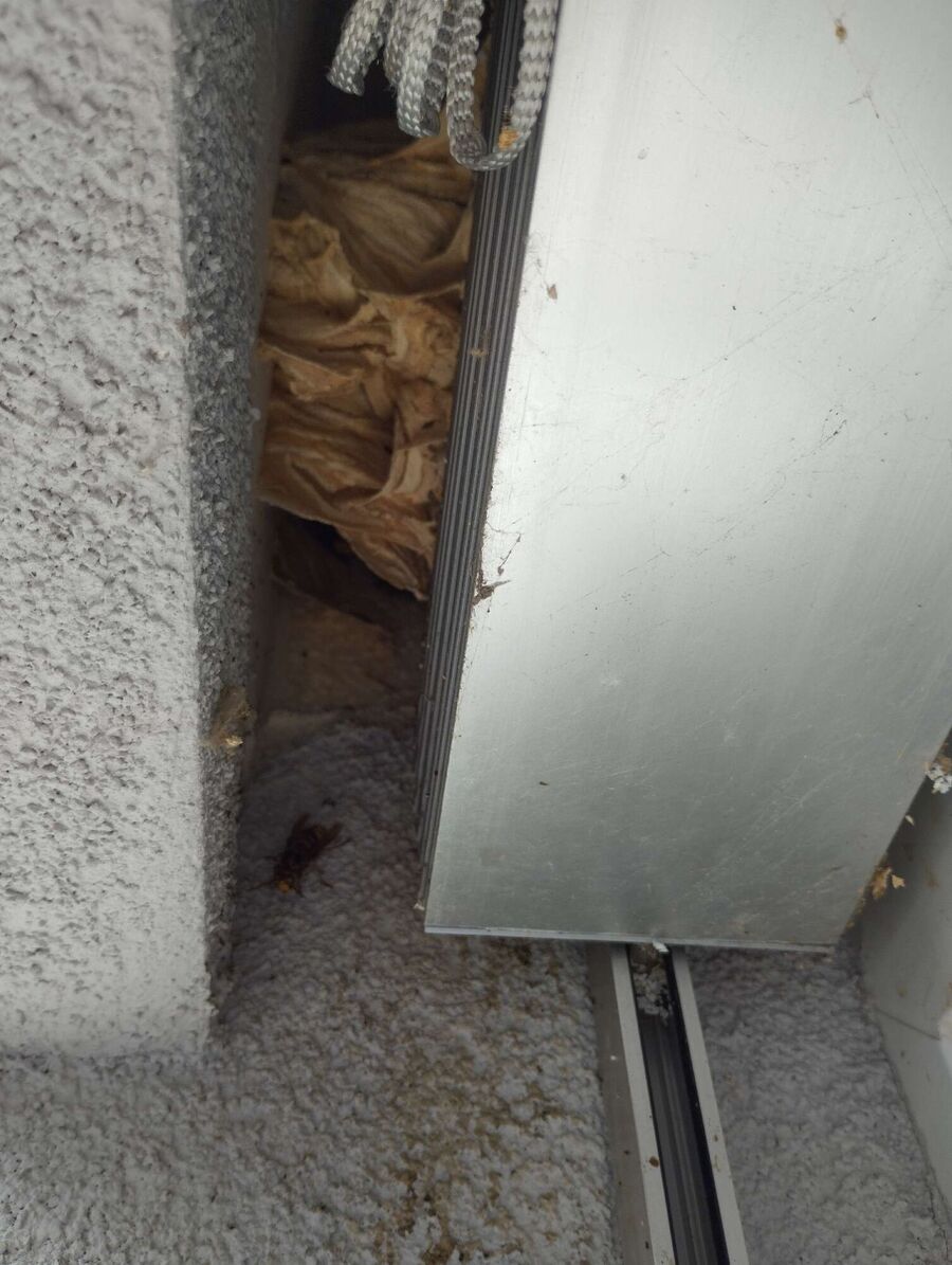 enlever un nid d abeille