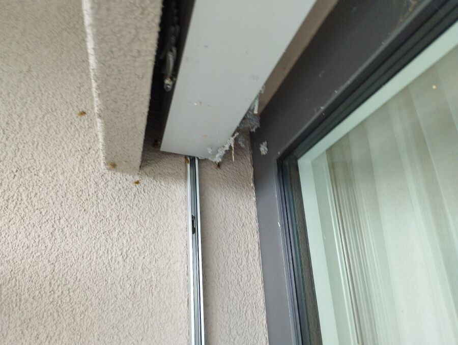 nid d abeille que faire