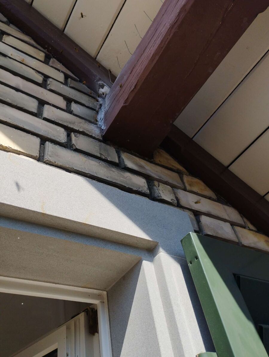 ruche abeille maison que faire