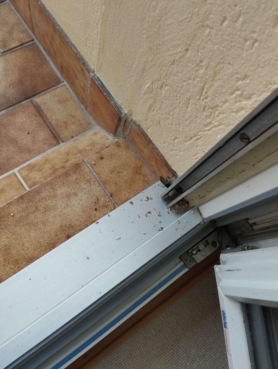 ruche abeille maison que faire