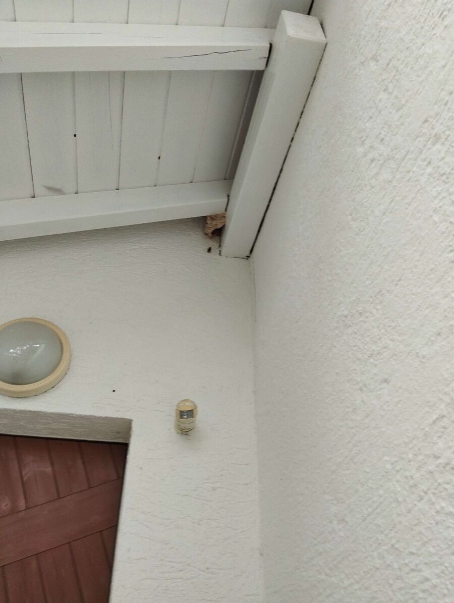 enlever un nid d abeille