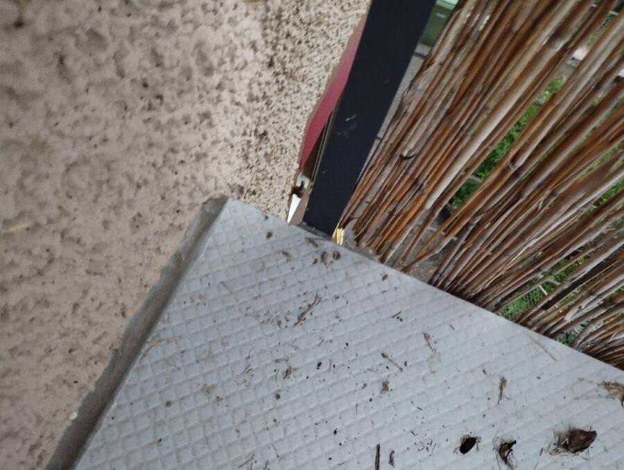 nid d abeille que faire