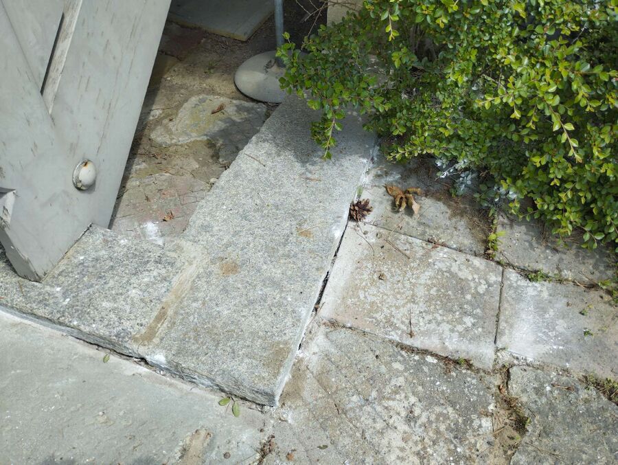 enlever un nid d abeille