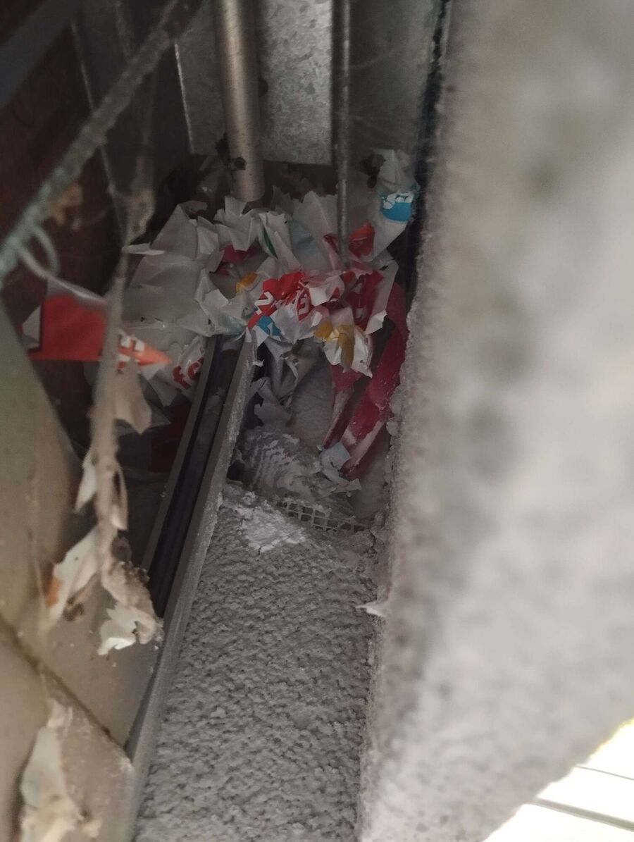 essaim d abeille enlevement