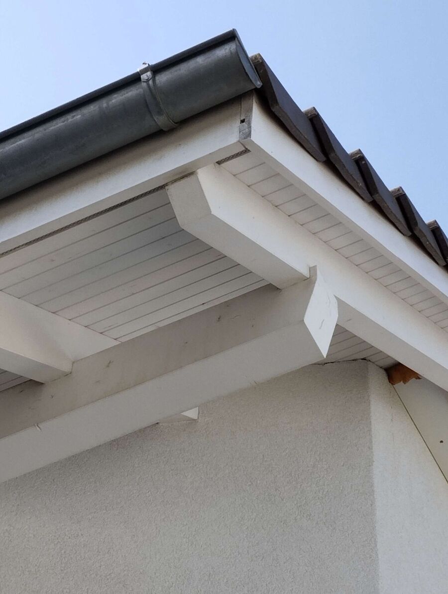 ruche abeille maison que faire