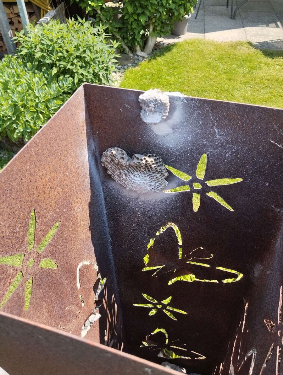 enlever un nid d abeille